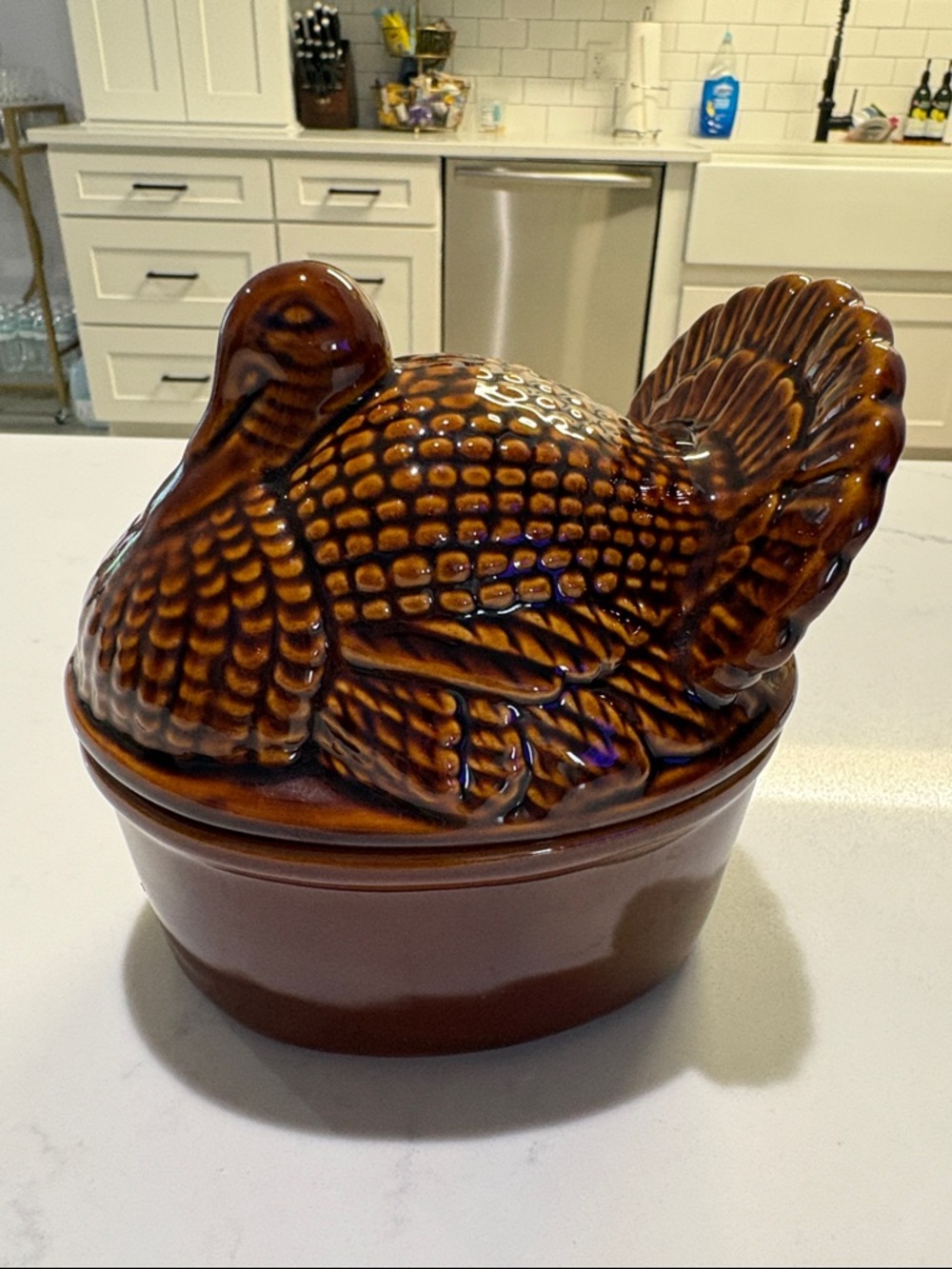 Cost Plus World Market Brown Glazed Turkey Covered Dish